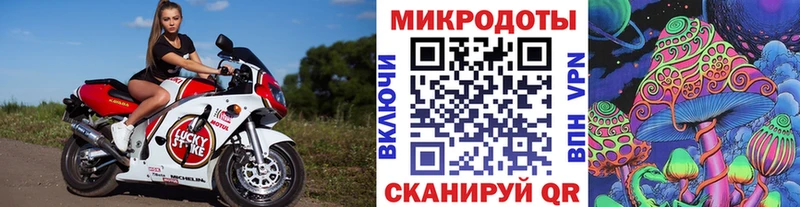 Псилоцибиновые грибы GOLDEN TEACHER  сайты даркнета Telegram  Бикин  дарнет шоп 